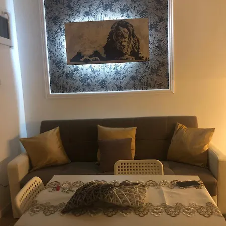 Apartment Camaldoli House